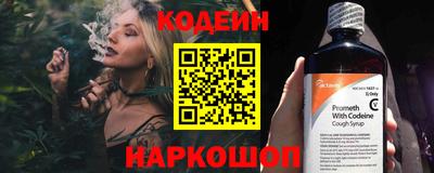 индика Гатчина